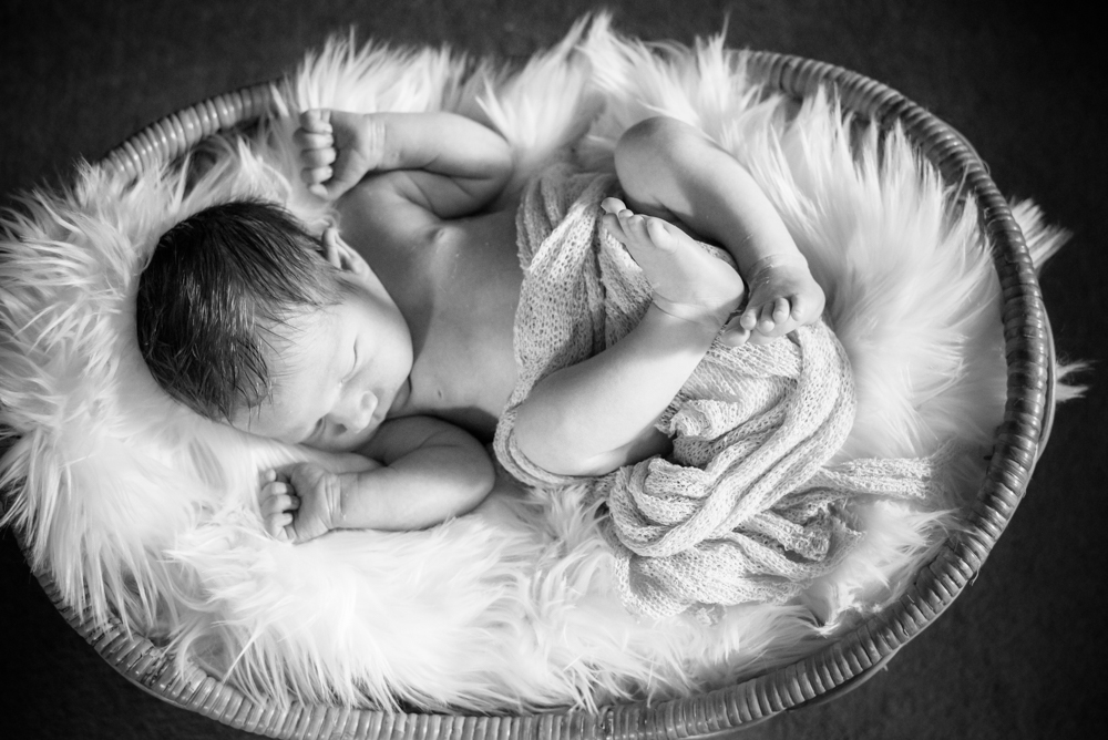 Baby Oliver in basket, newborn portraits Wigton