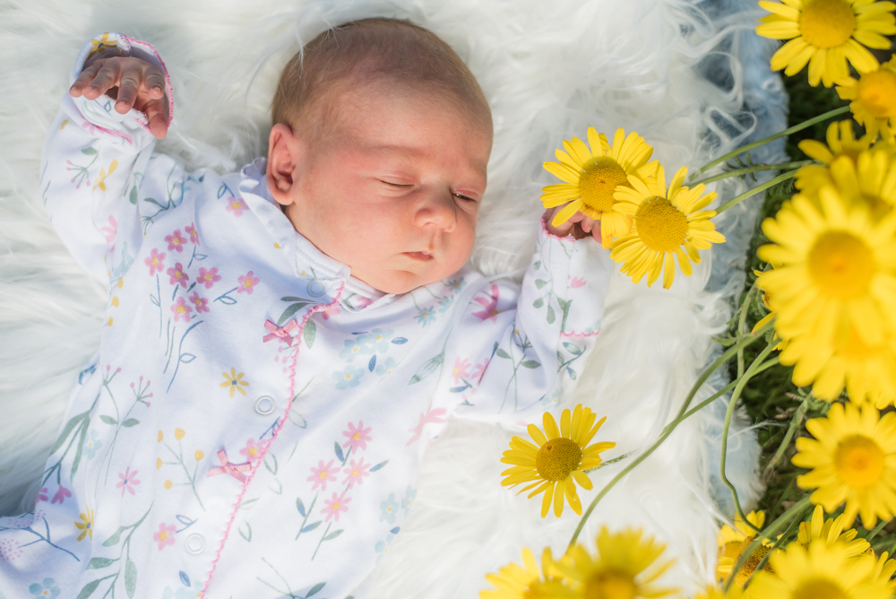 baby delphie under the flowers,  family portraits Carlisle newborn photographers
