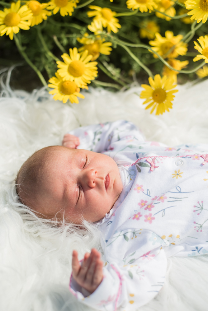 Baby portraits in flowers,  family portraits Wigton newborn photographers