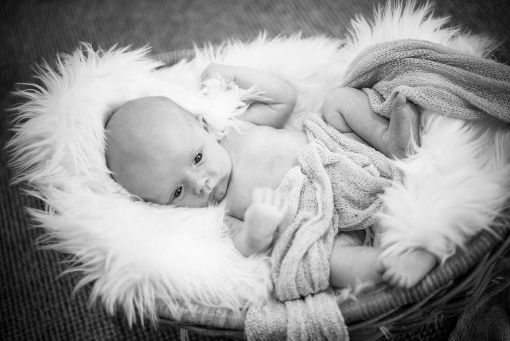 Baby Freddie in a basket, newborn portraits Carlisle