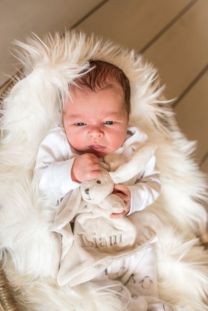 Baby in basket with teddy, newborn portraits Carlisle