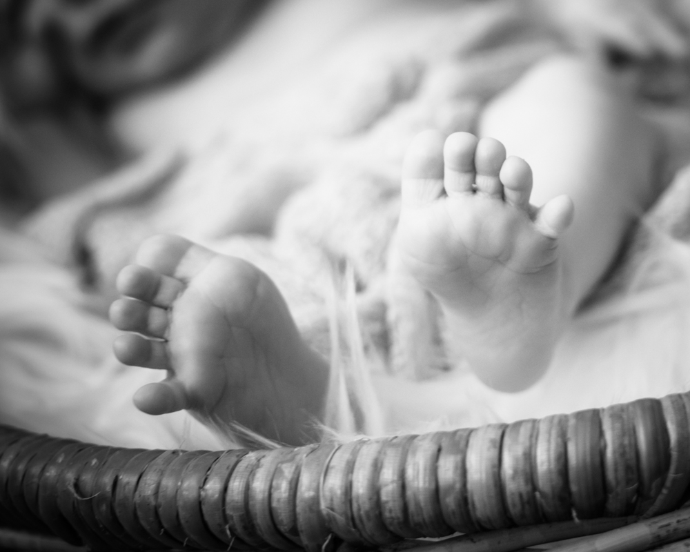 baby toes, newborn photographer Carlisle