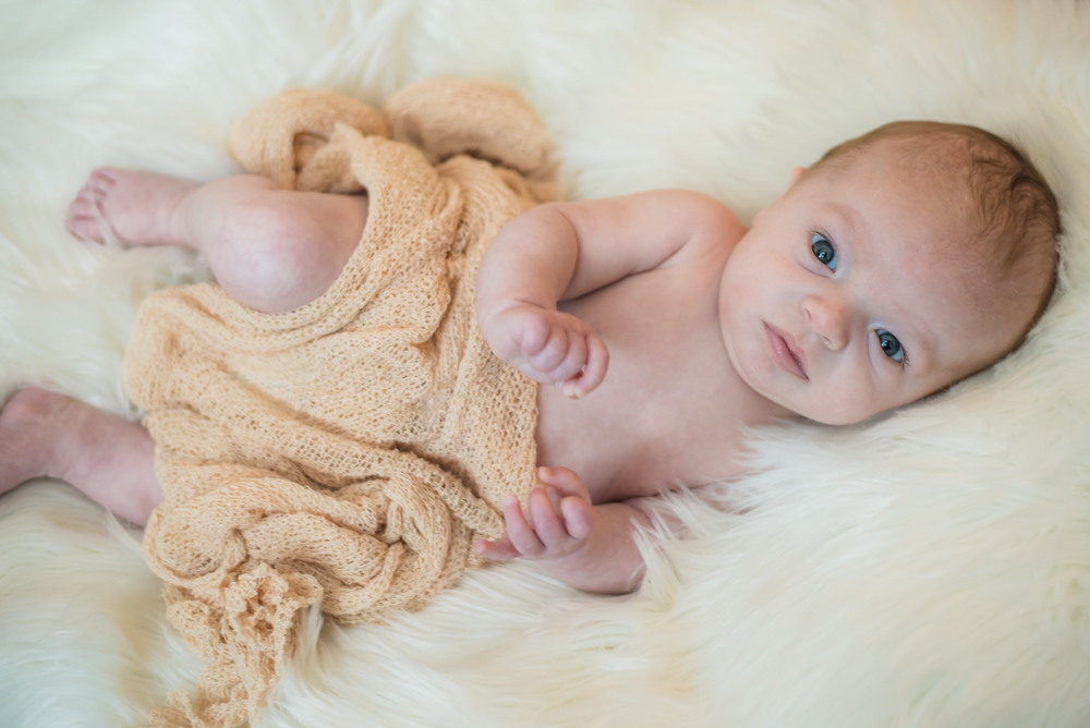 Newborn Noah in a blanket, baby photographers Cumbria